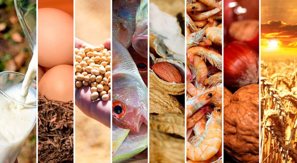 Nutrición deportiva Semanal